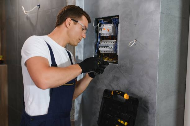 Best Ceiling Fan Installation Electrician  in Ricardo, TX