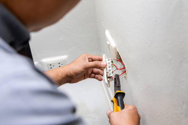 Best Residential Electrician Services  in Ricardo, TX
