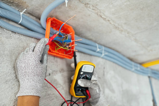 Best Outdoor Lighting Installation  in Ricardo, TX